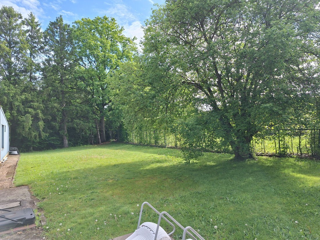 Tuin