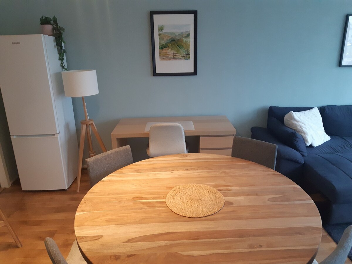 Ruim en lichtrijk appartement - centrum Gavere. 