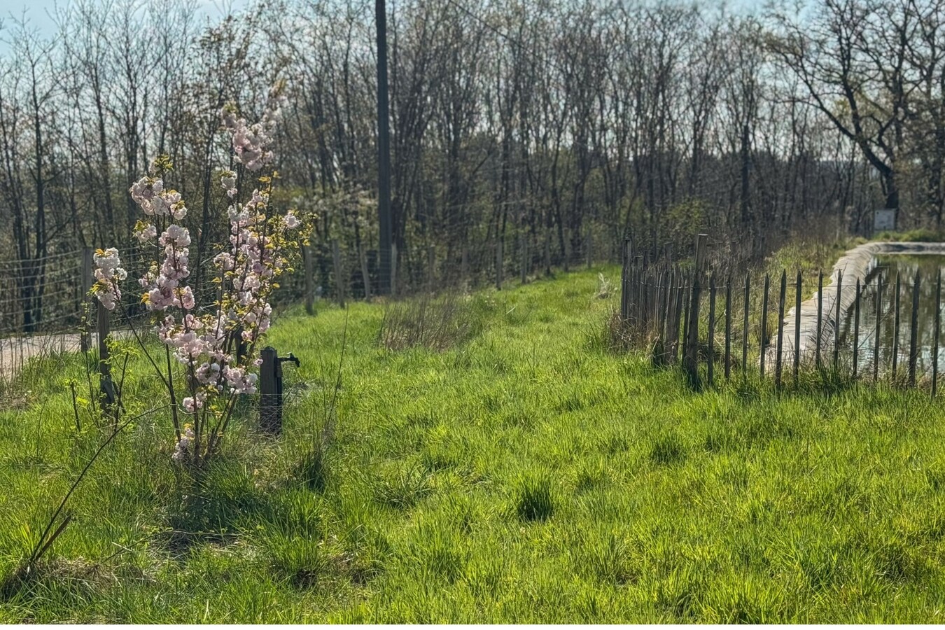 Champ de 90 ares à Tielt-Winge 