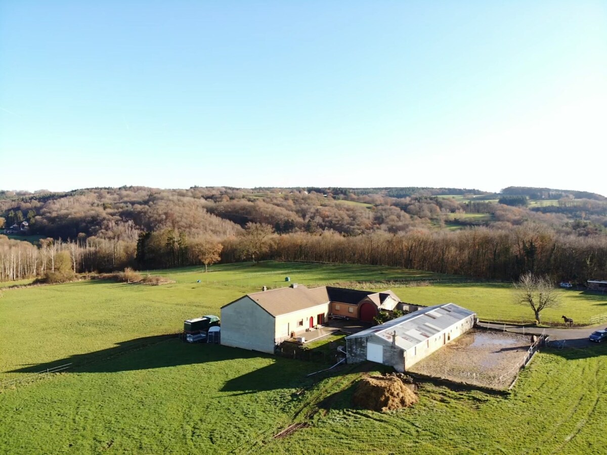 Te koop woning - Aywaille