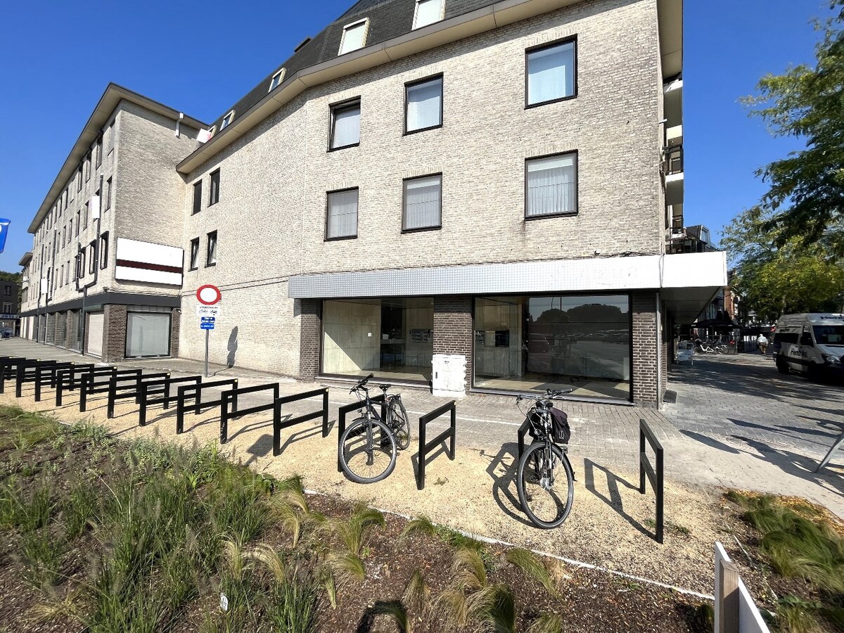 Verkocht dak appartement - Geel