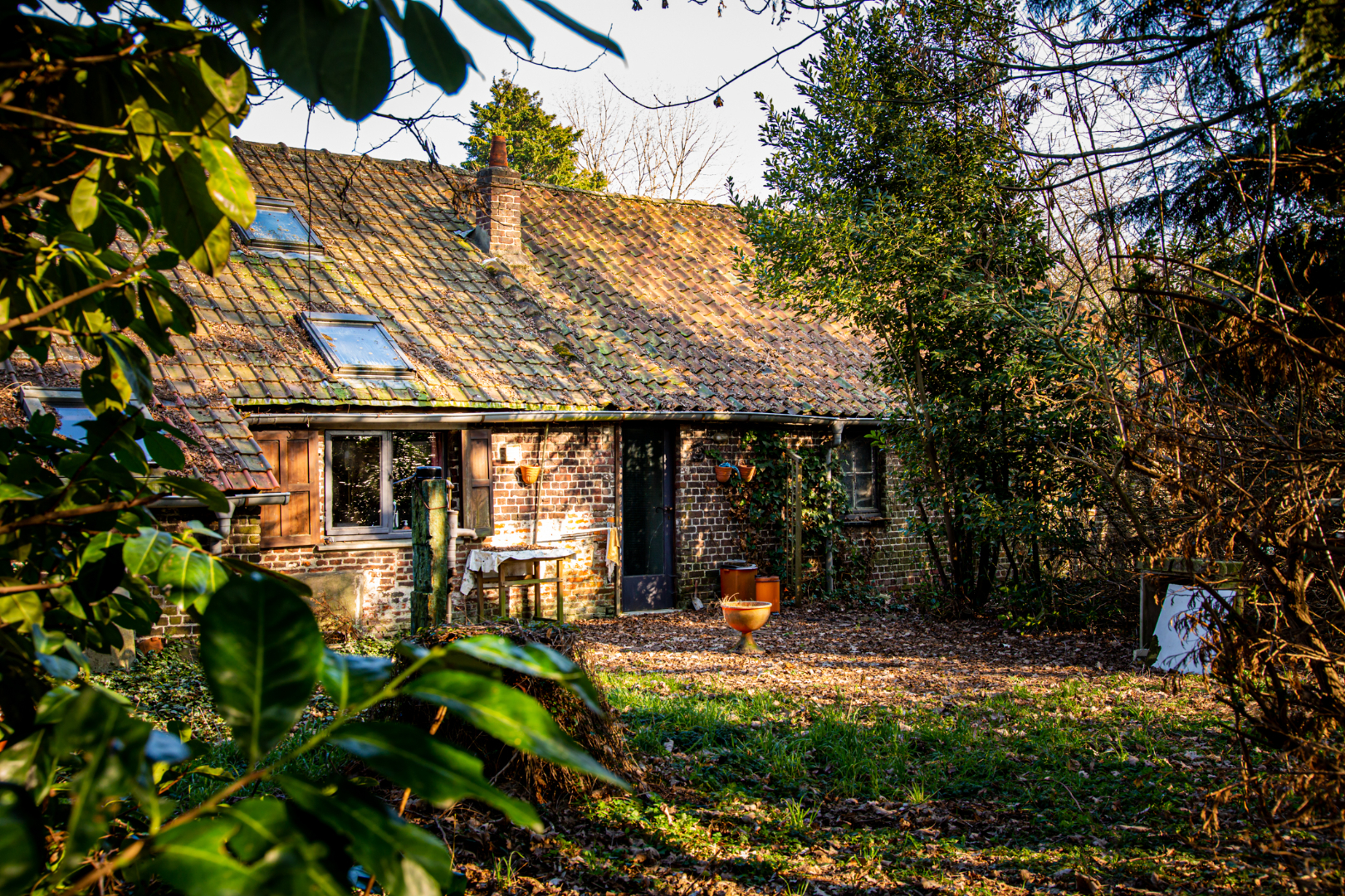 Charmante hoevewoning op 2.772 m²  op 1,5km van centrum Evergem 