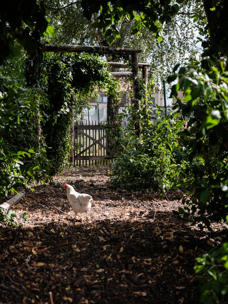 Volledig afgewerkte woning met grote tuin op toplocatie! 