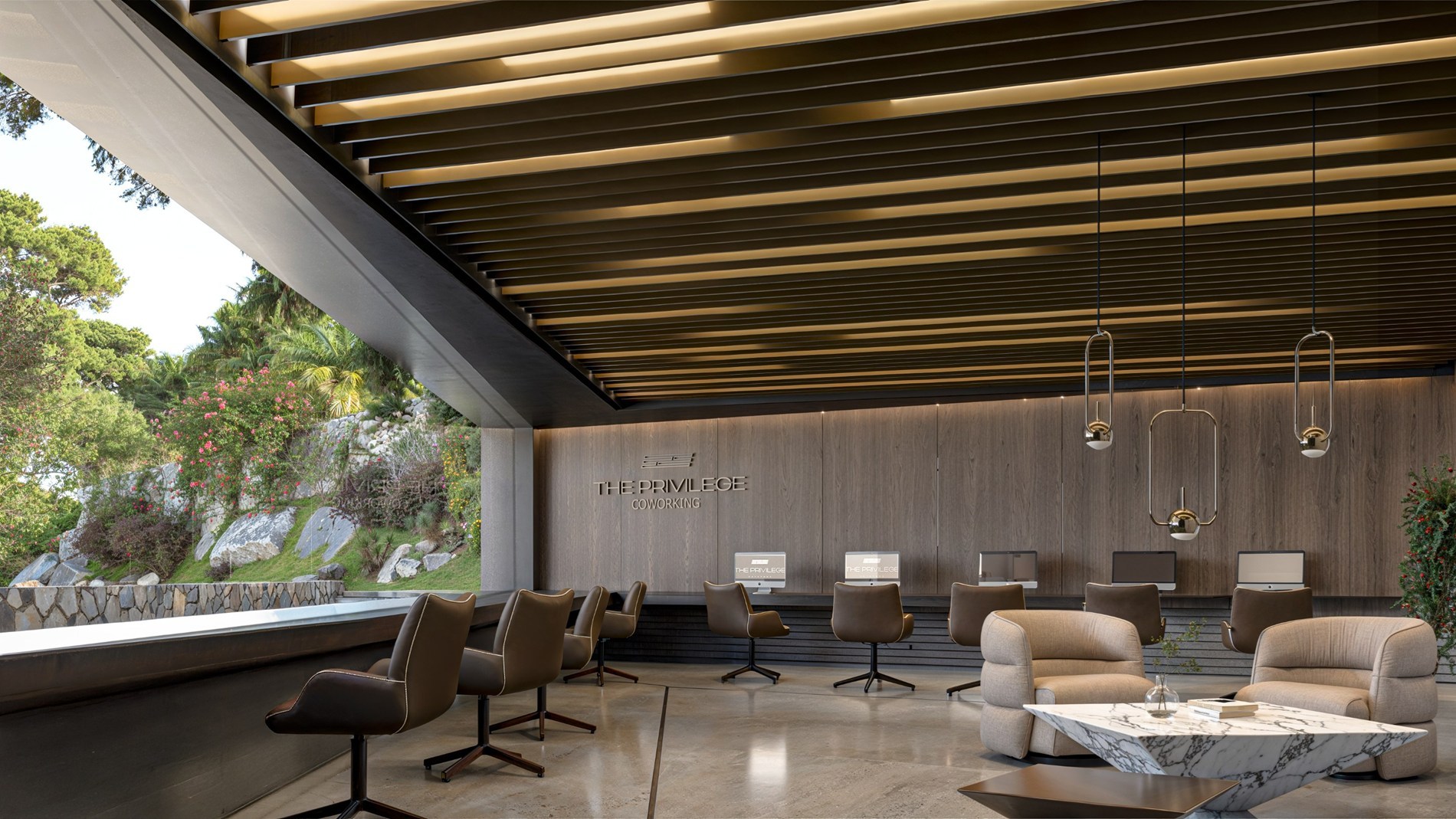 The Privilege - 2.1.D 