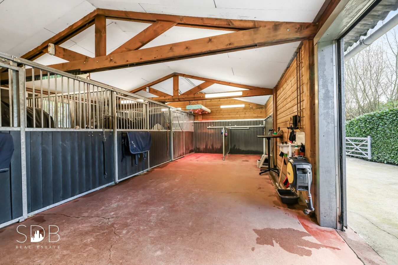 paardenstallen, paarden