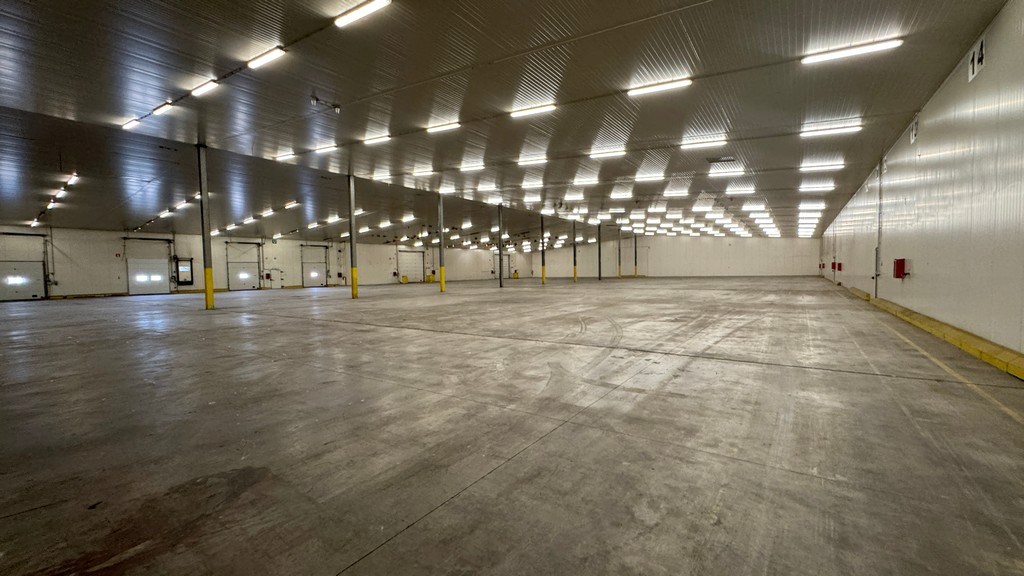 Loodsen te huur in haven van Antwerpen