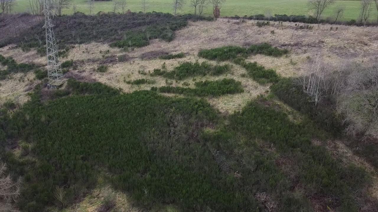 Perceel van 4ha gelegen in agrarische zone 