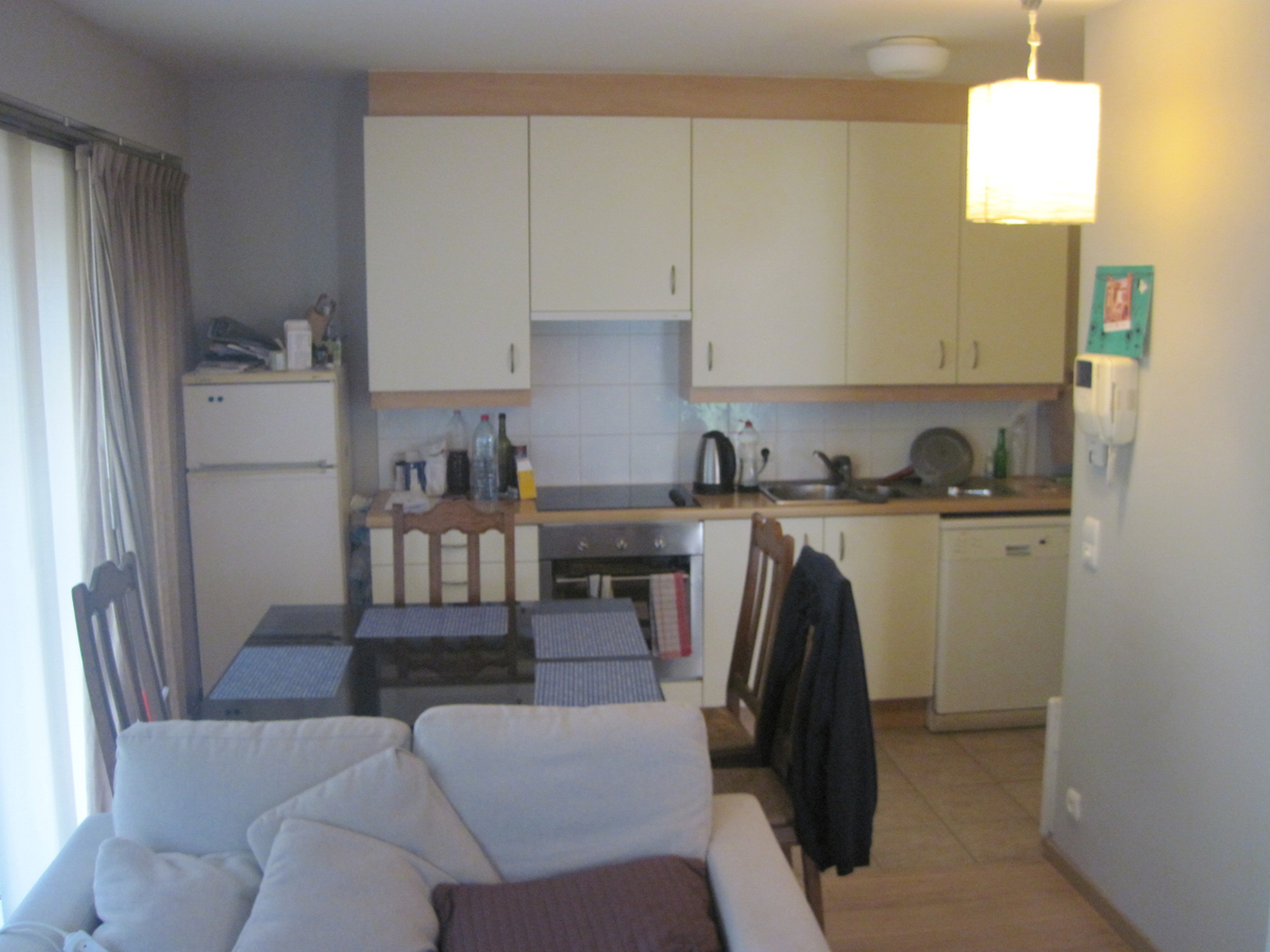 Aangenaam 1-slp-appartement nabij Station (in t groen met terras). 