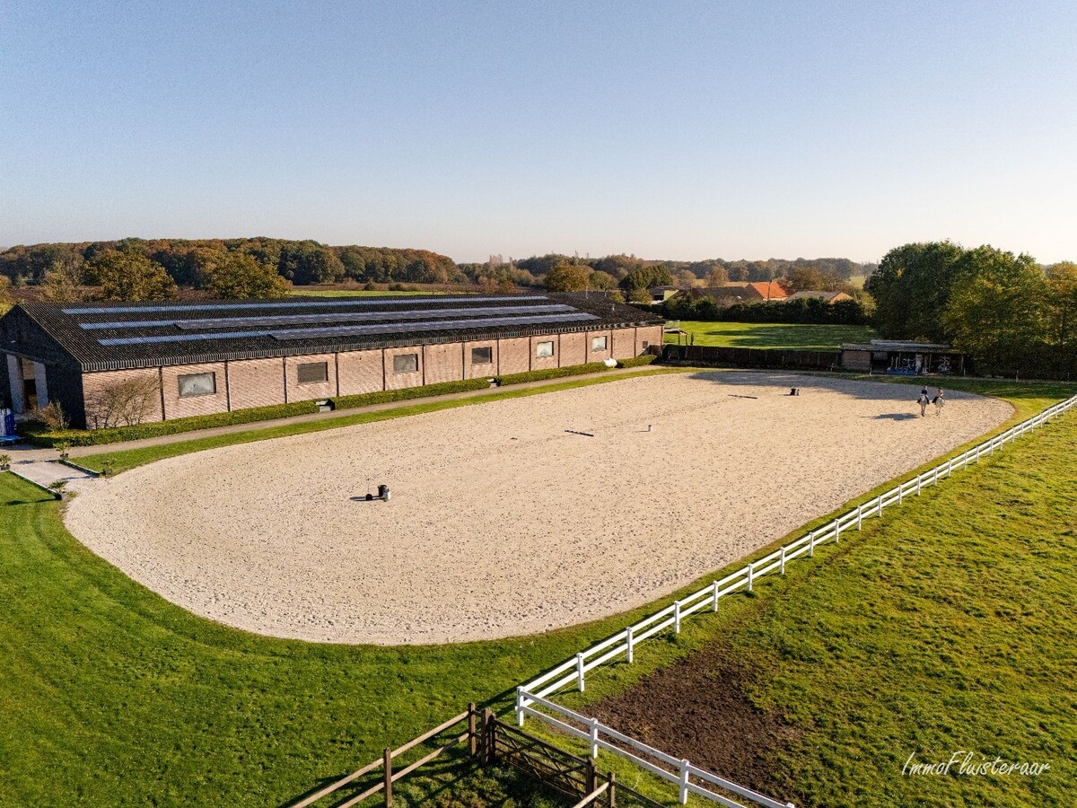 Volledig uitgeruste paardenaccommodatie op ca. 4,2 ha nabij Herentals 
