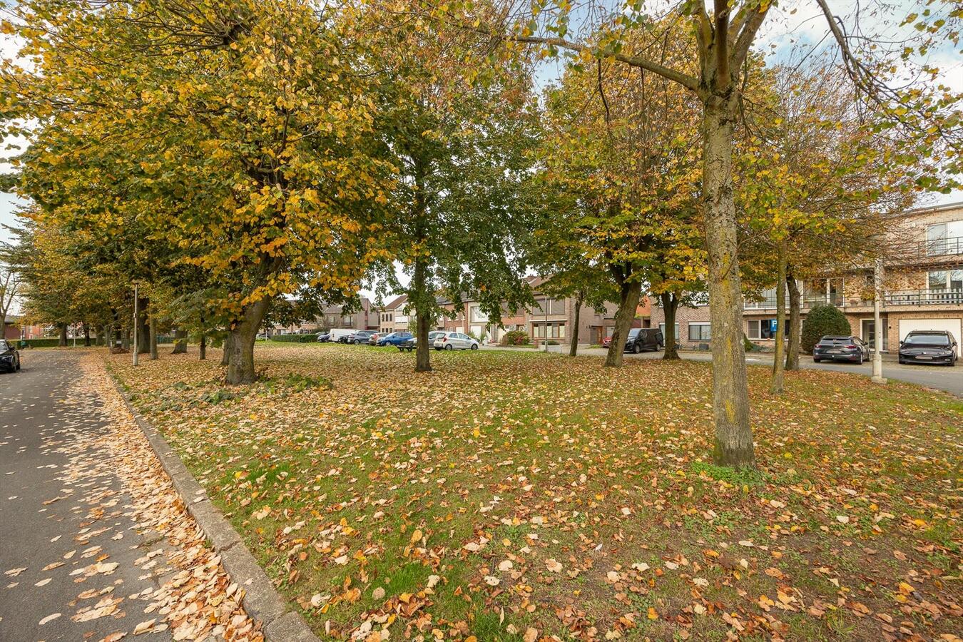 Ruime HOB met garage op een rustige locatie te Schelle! 