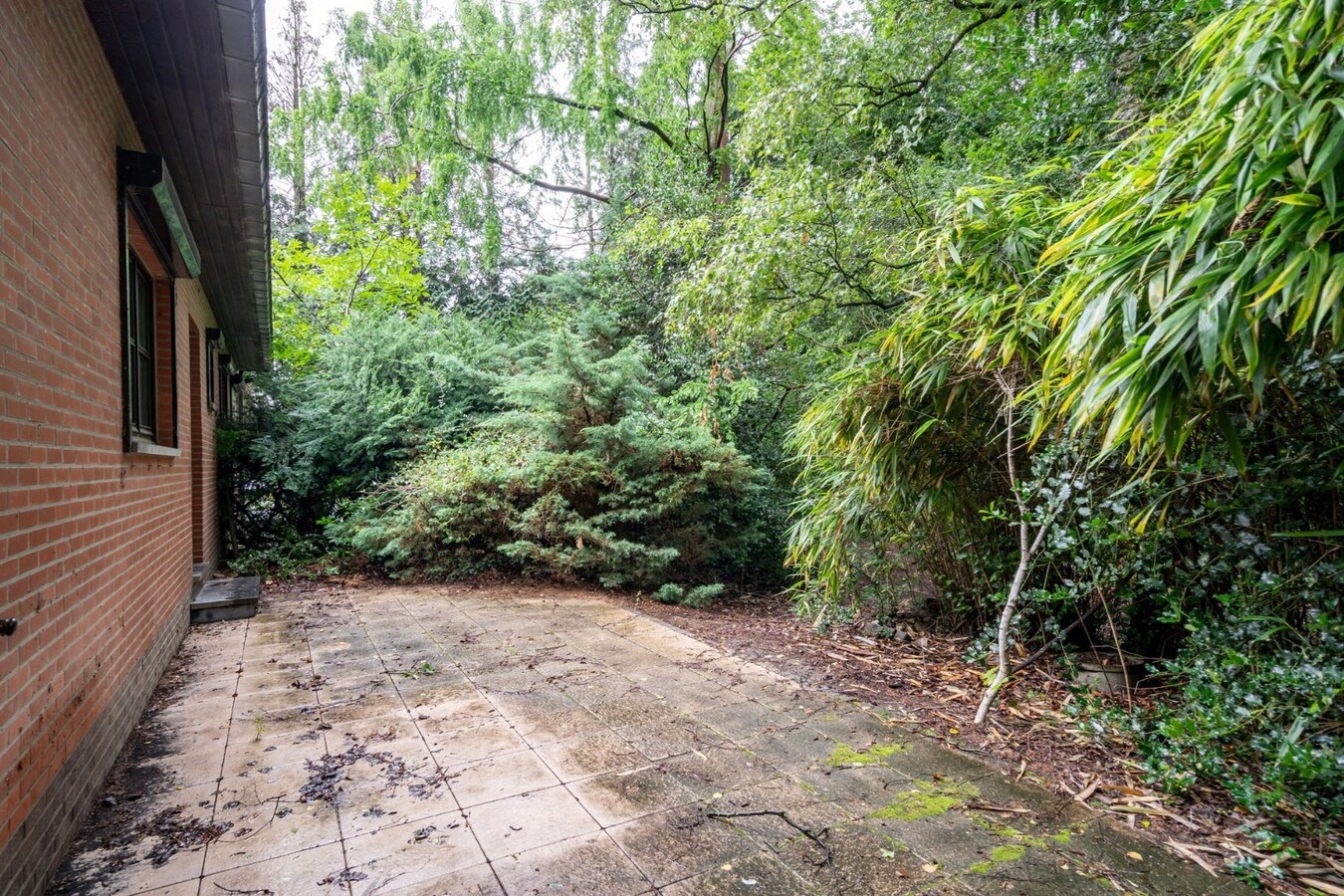 Woning op zeer rustig gelegen en ruim perceel. 