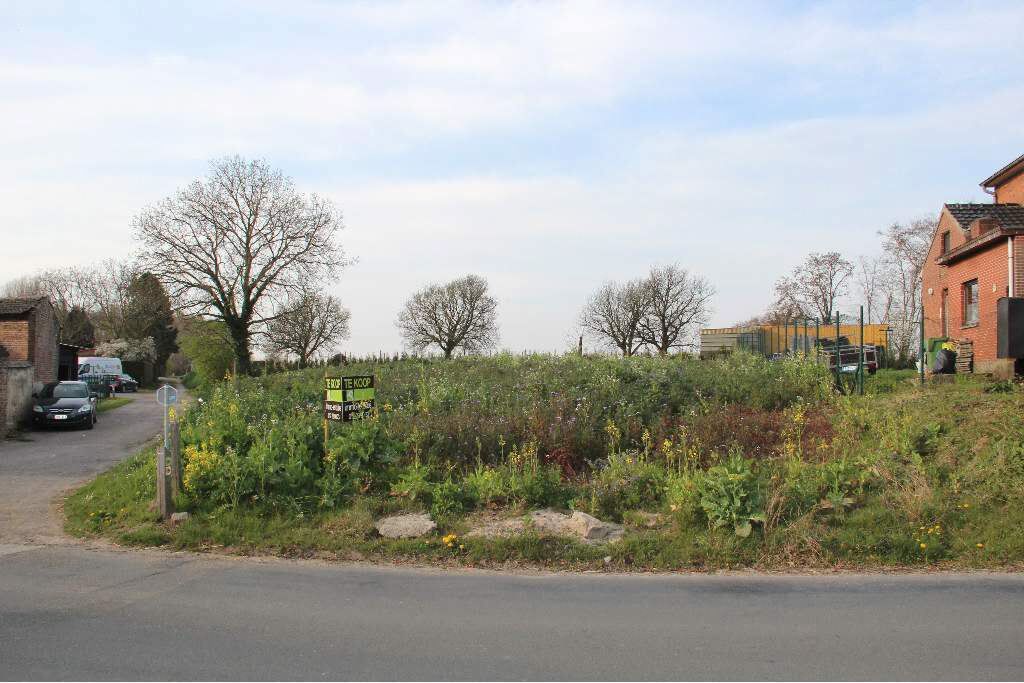 Verkocht grond - Hoeselt