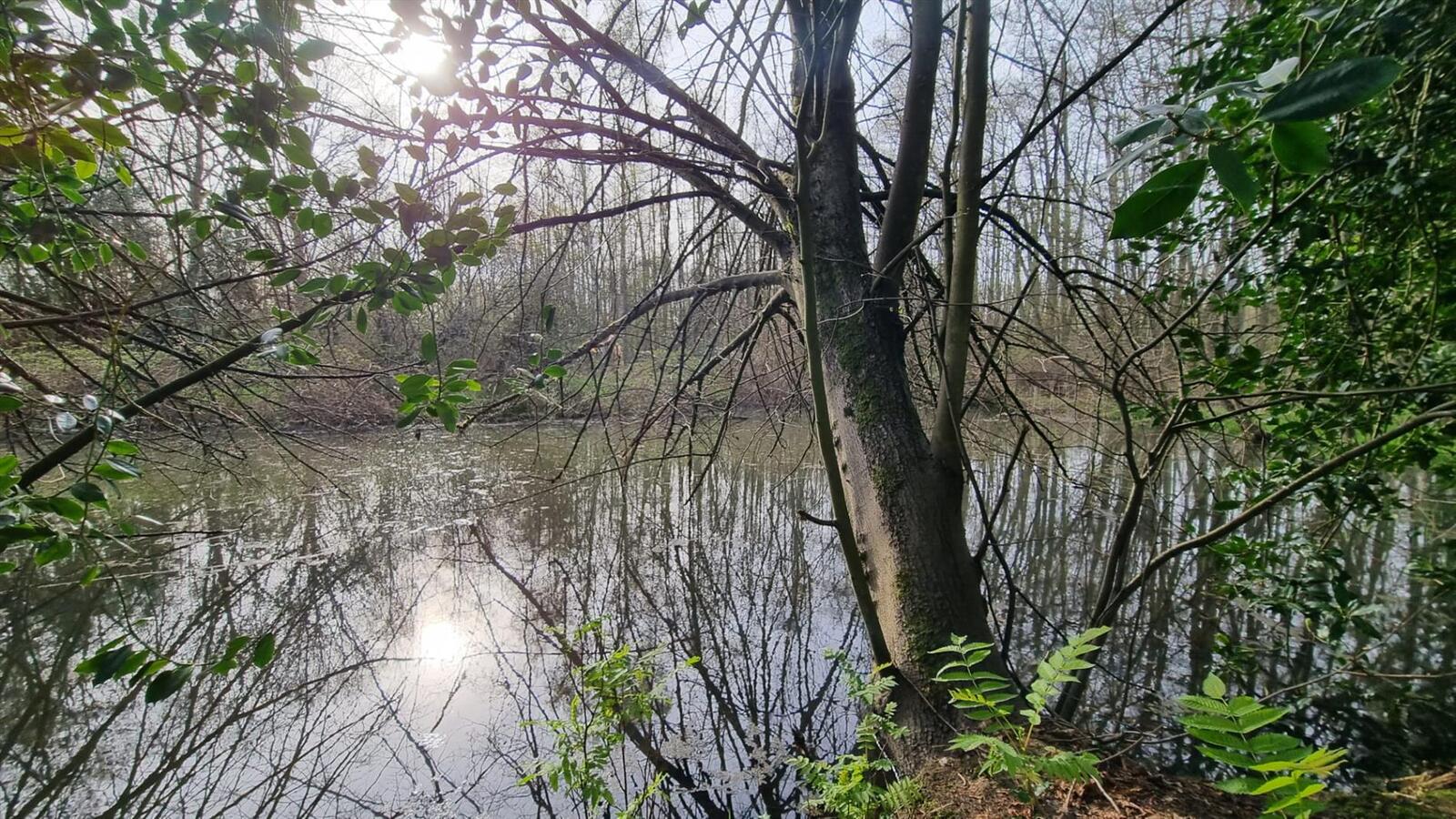 Verkocht recreatie - Balen