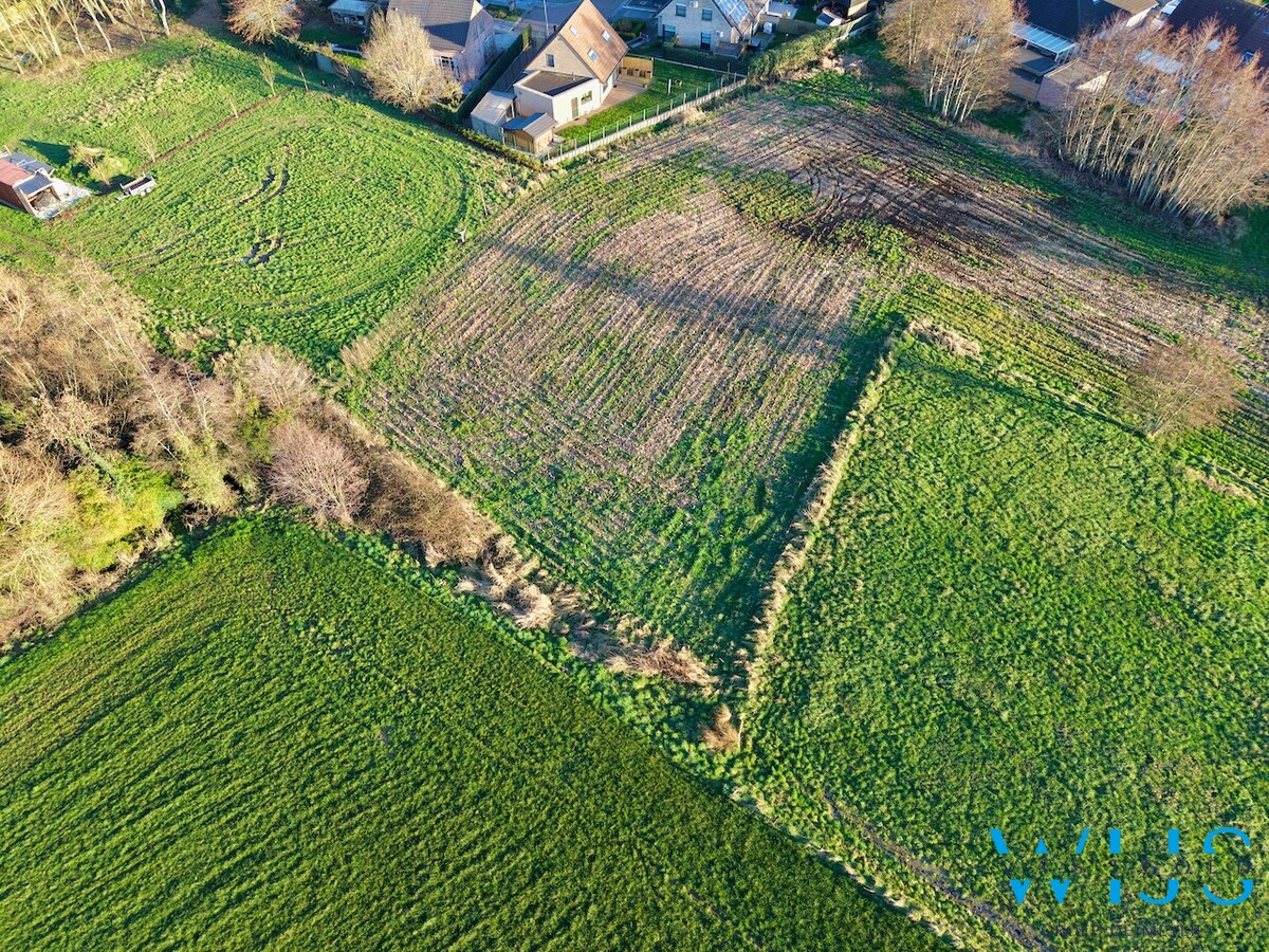 Projectgrond Rieme/Ertvelde 