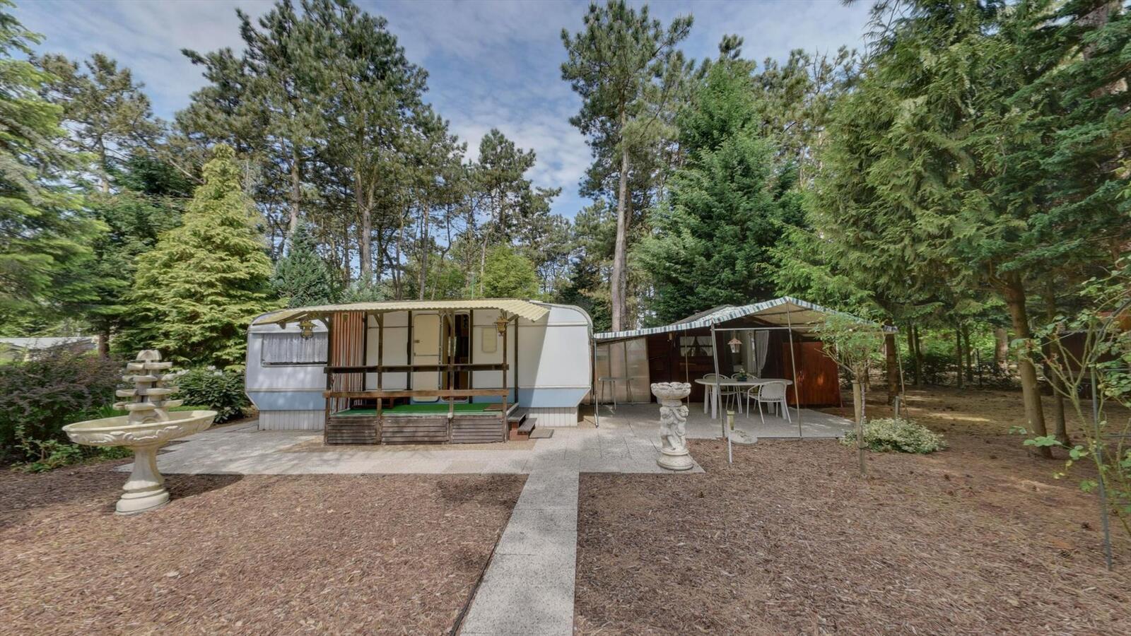 Prachtig stuk bosgrond 