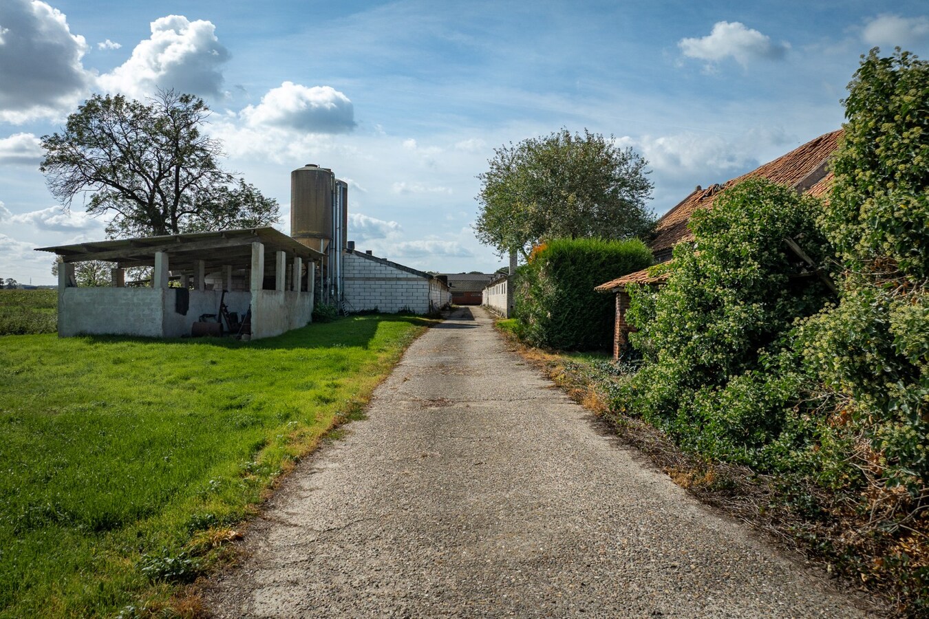 Hoeve met stalgebouwen op ca. 1ha te Bree 