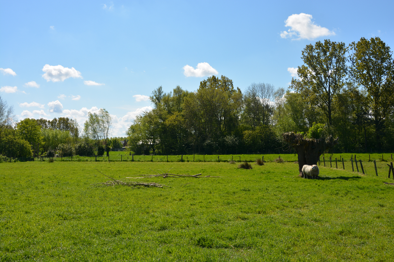 Uiterst rustig gelegen villa met kantoorruimte 
