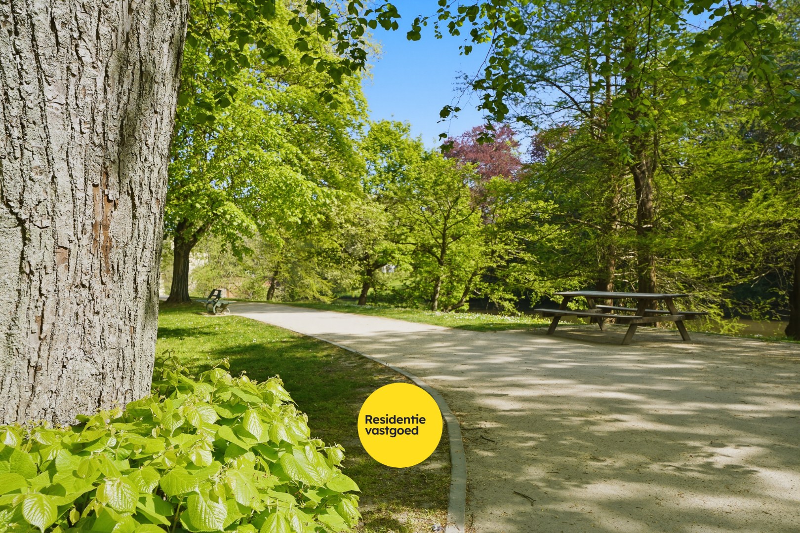Exclusief gerenoveerd burgerhuis met zonnige stadstuin! 