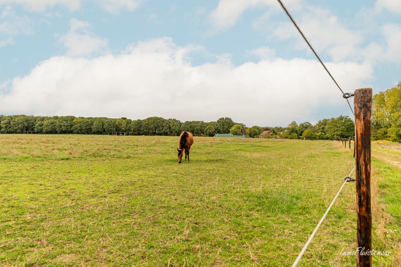 Unieke eigendom met veel potentieel en uitbreidingsmogelijkheden op ca. 4 ha in Gruitrode (Oudsbergen) 
