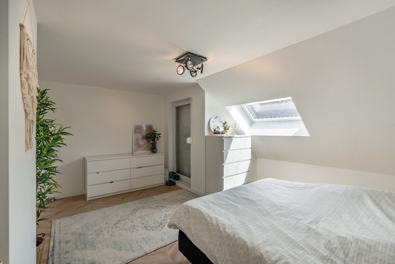 Ruime woning in Dorne(Maaseik) met 4 slaapkamers, gelegen op een uitzonderlijk ruim perceel. 