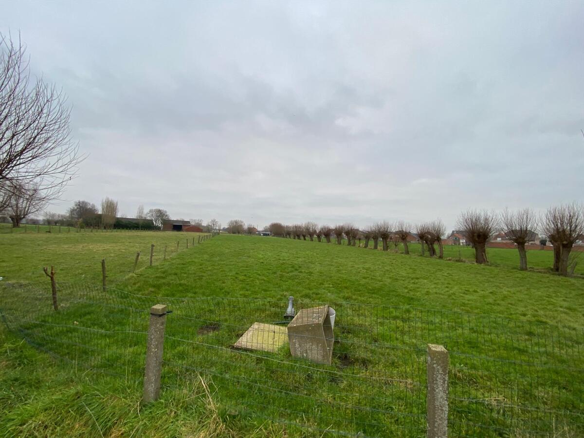 Stuk weiland te Roksem 