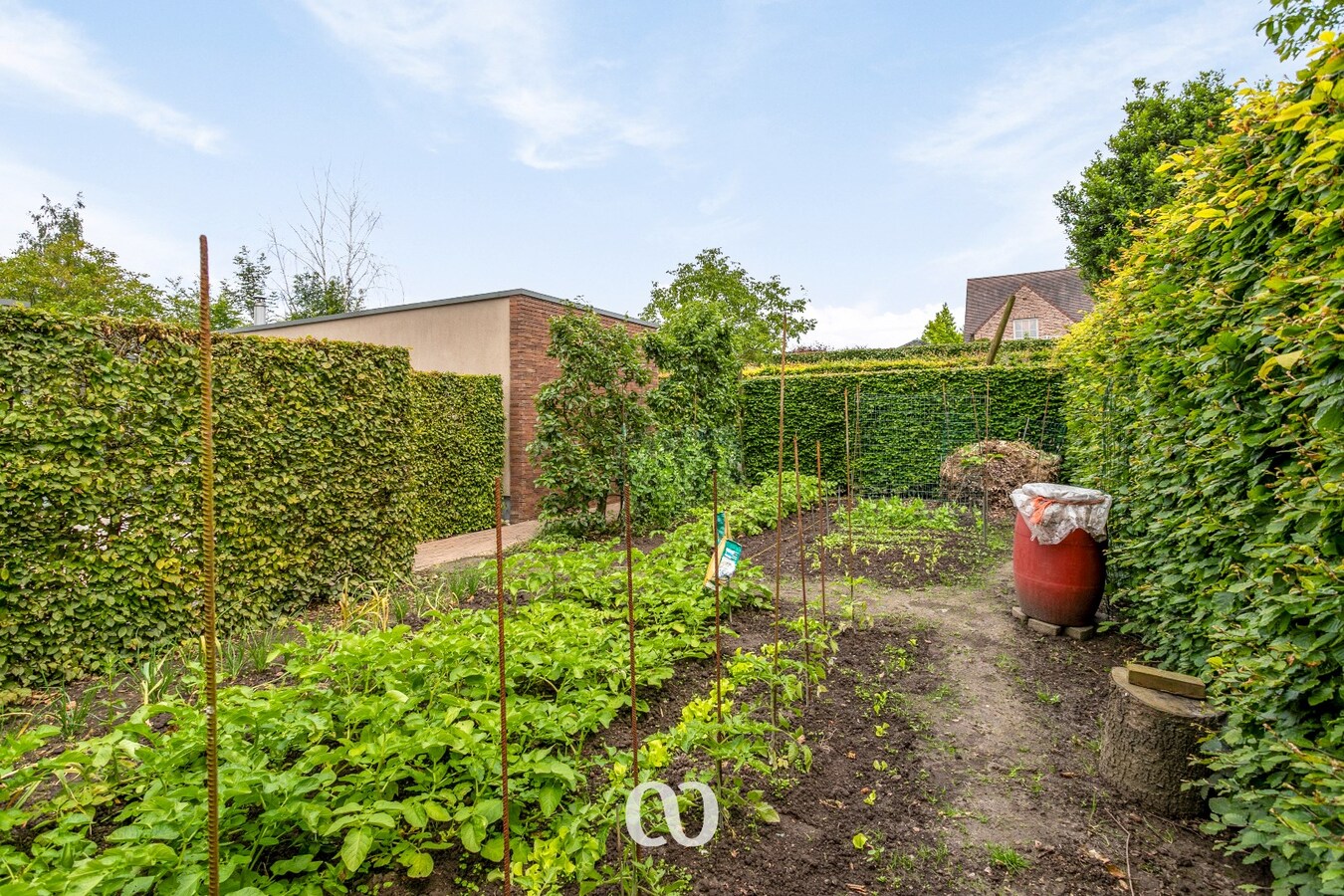 Ruime woning met prachtige tuin en bijgebouw te koop in Oudenaarde 