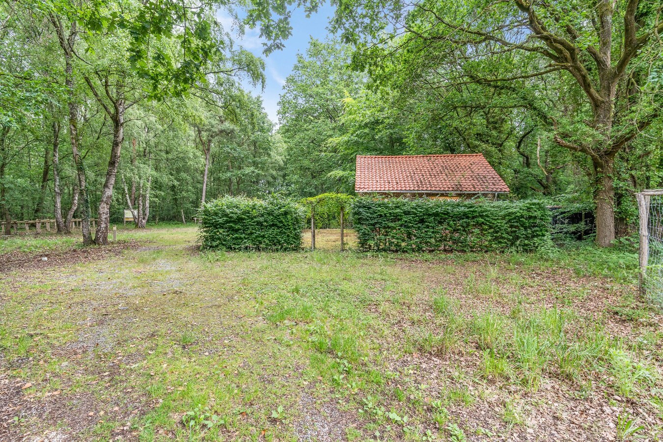 Authentiek horecapandje ideaal voor een healthy coffee-, lifestyle- en natuurconcept in het Dilserbos-Sparrendal. 