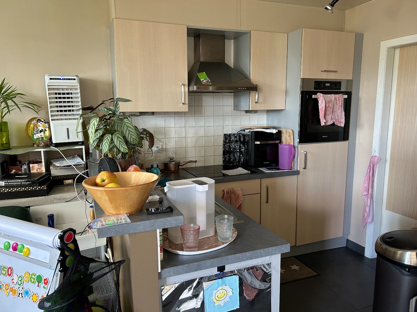 Aangenaam appartement met garage en groot terras 
