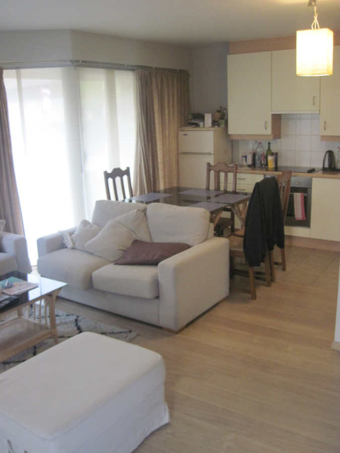 Aangenaam 1-slp-appartement nabij Station (in t groen met terras). 