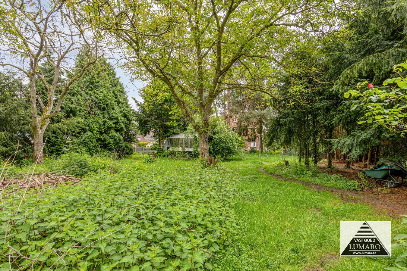 Charmante, op te knappen woning op perceel van 4.600 m² 