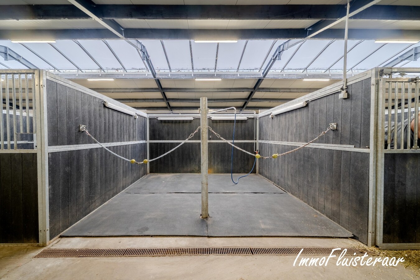 Exclusief Hippisch Complex met Uitstekende Trainingsmogelijkheden op ca 8,6 ha in Wuustwezel 