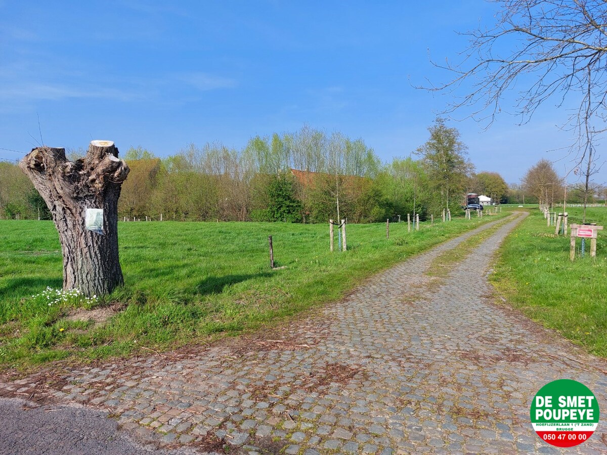Gerestaureerde hoeve "Ter Leyden" 