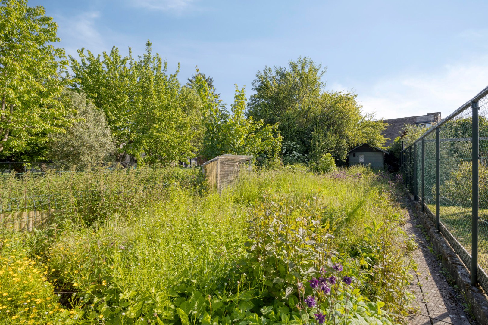Tuin met achtergelegen tuinhuis