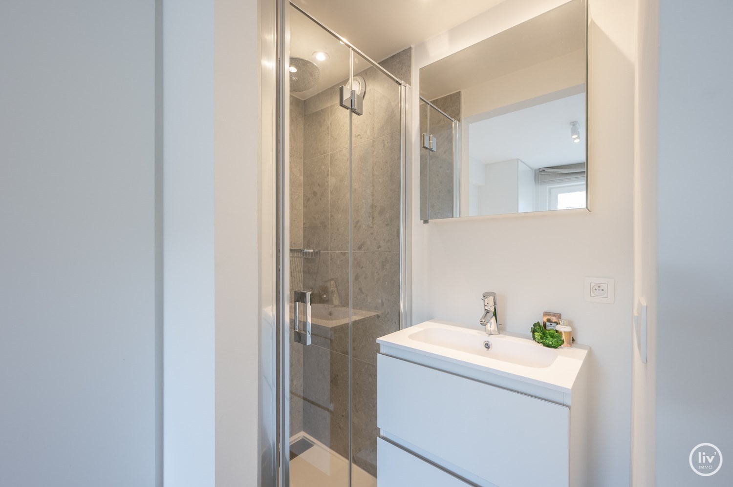 Integraal gerenoveerd 2-kamer appartement met een open zicht over het Yzepark (mogelijkheid tot aankoop van een garage onder de overzijde ). 