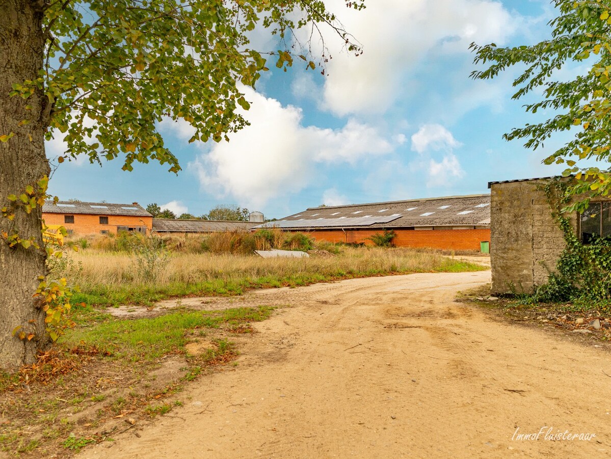 Unieke eigendom met veel potentieel en uitbreidingsmogelijkheden op ca. 4 ha in Gruitrode (Oudsbergen) 