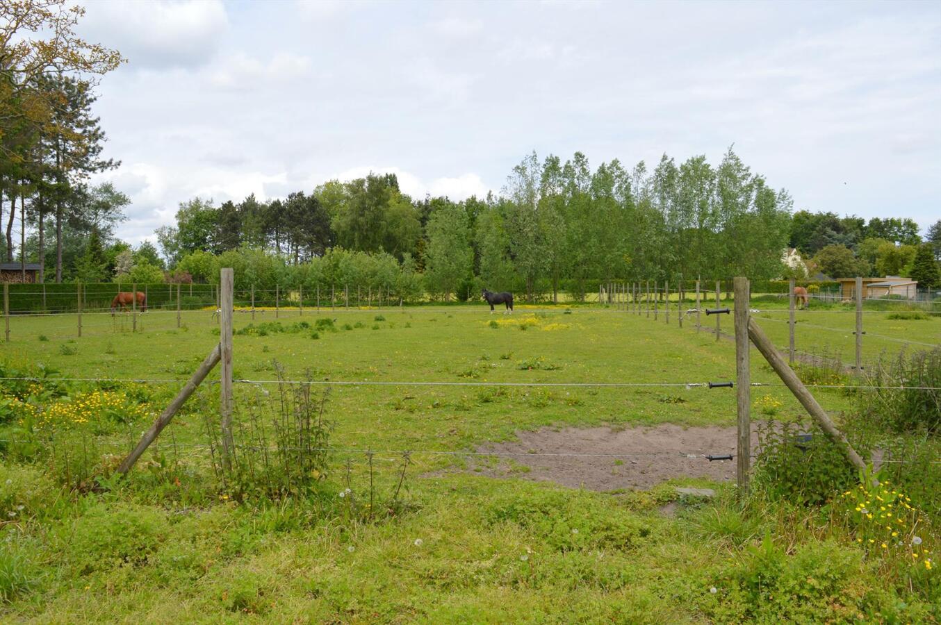 Ruime woning met stalgebouw op 6.723m² te Waarschoot 