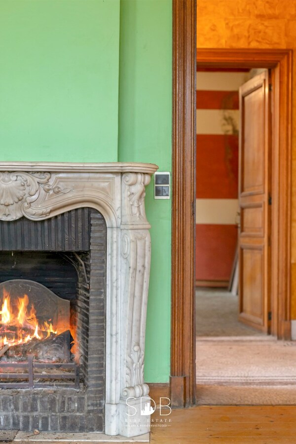 kasteel luxevastgoed villa sdb real estate