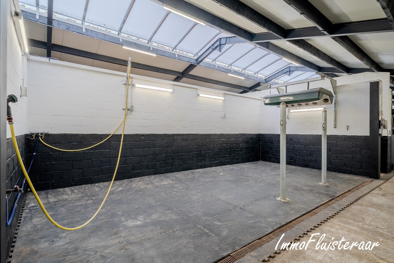 Exclusief Hippisch Complex met Uitstekende Trainingsmogelijkheden op ca 8,6 ha in Wuustwezel 