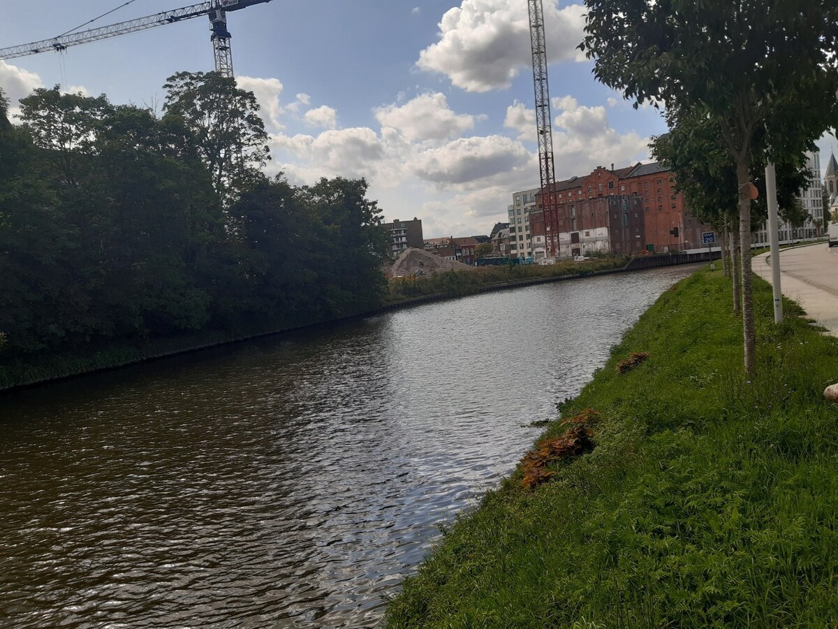 Tof dakappartement met aangenaam zonneterras. 