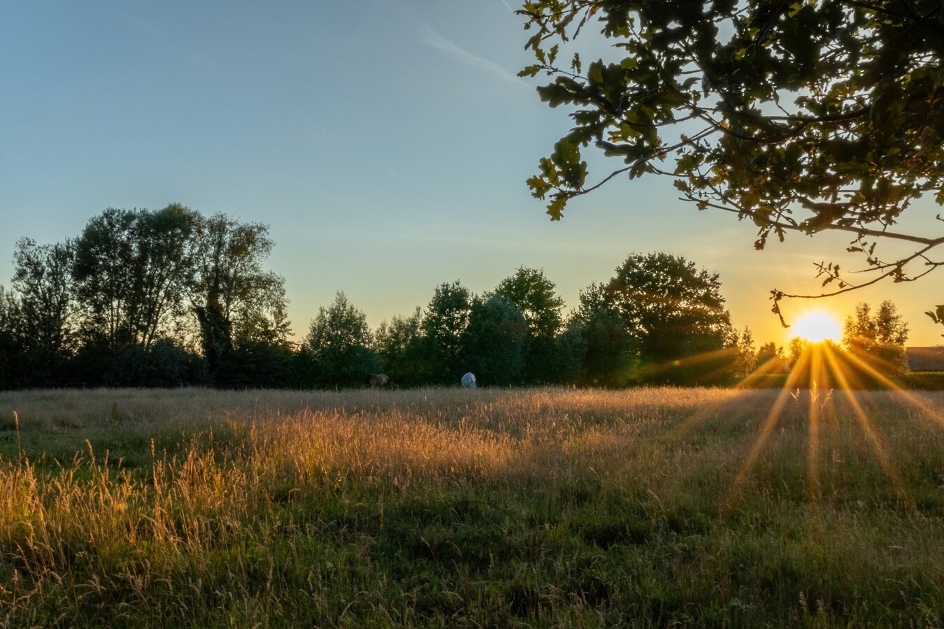 Exclusieve nieuwbouwvilla met zicht op natuur te Destelbergen 