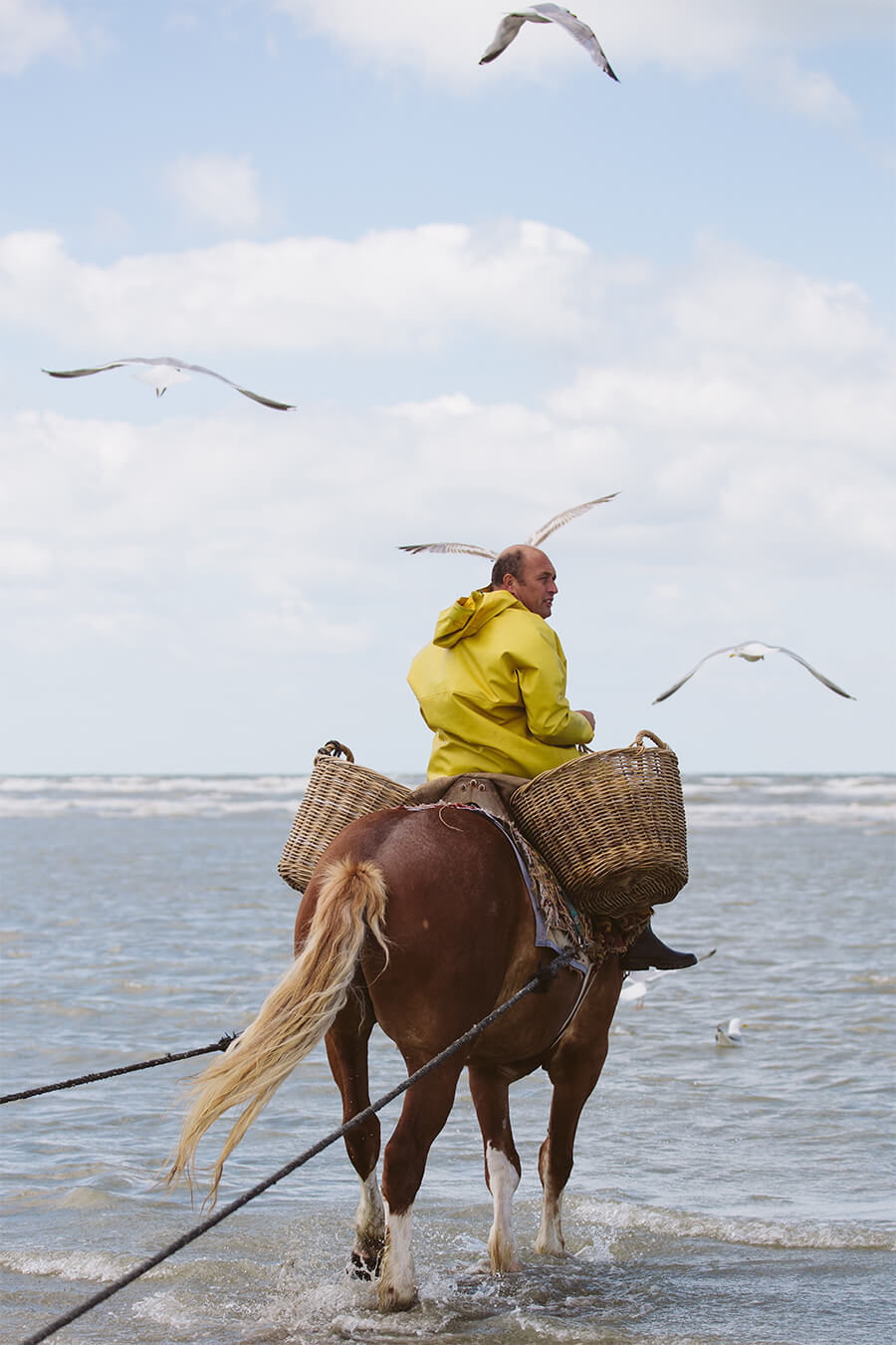 Pêcheurs de crevettes à cheval