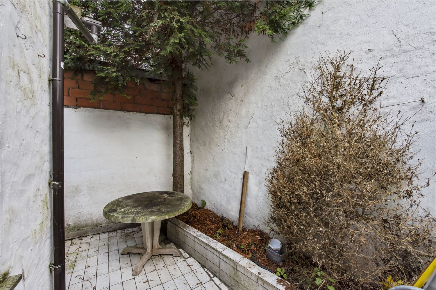 Zeer ruime woning op gunstige locatie 