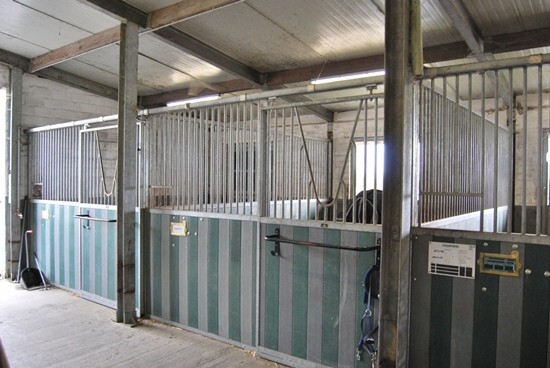 Instapklare eigendom met 12 stallen en 3 pistes op 3,1ha te Ardooie 