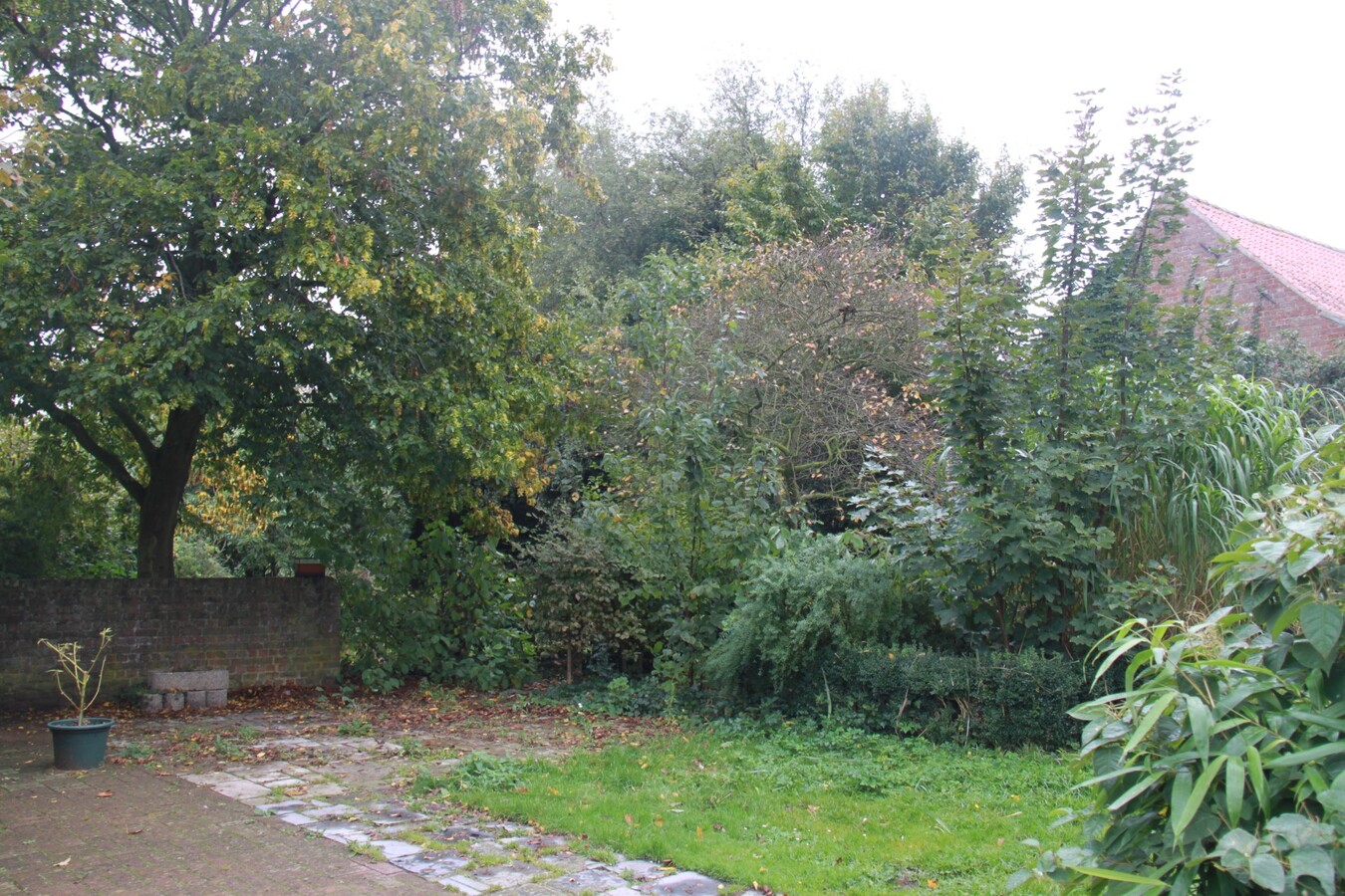 Beleggingsgrond of te renoveren woning 