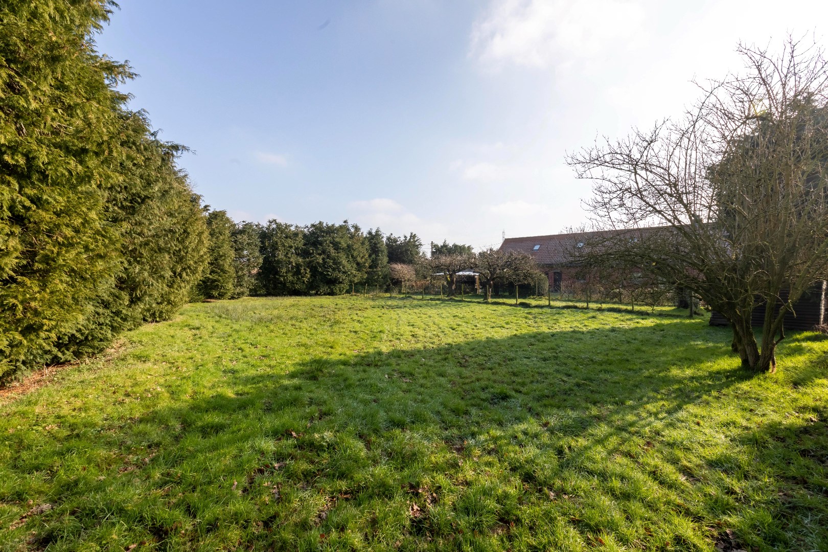 Open, energiezuinige bebouwing op groot perceel (3350m²) 