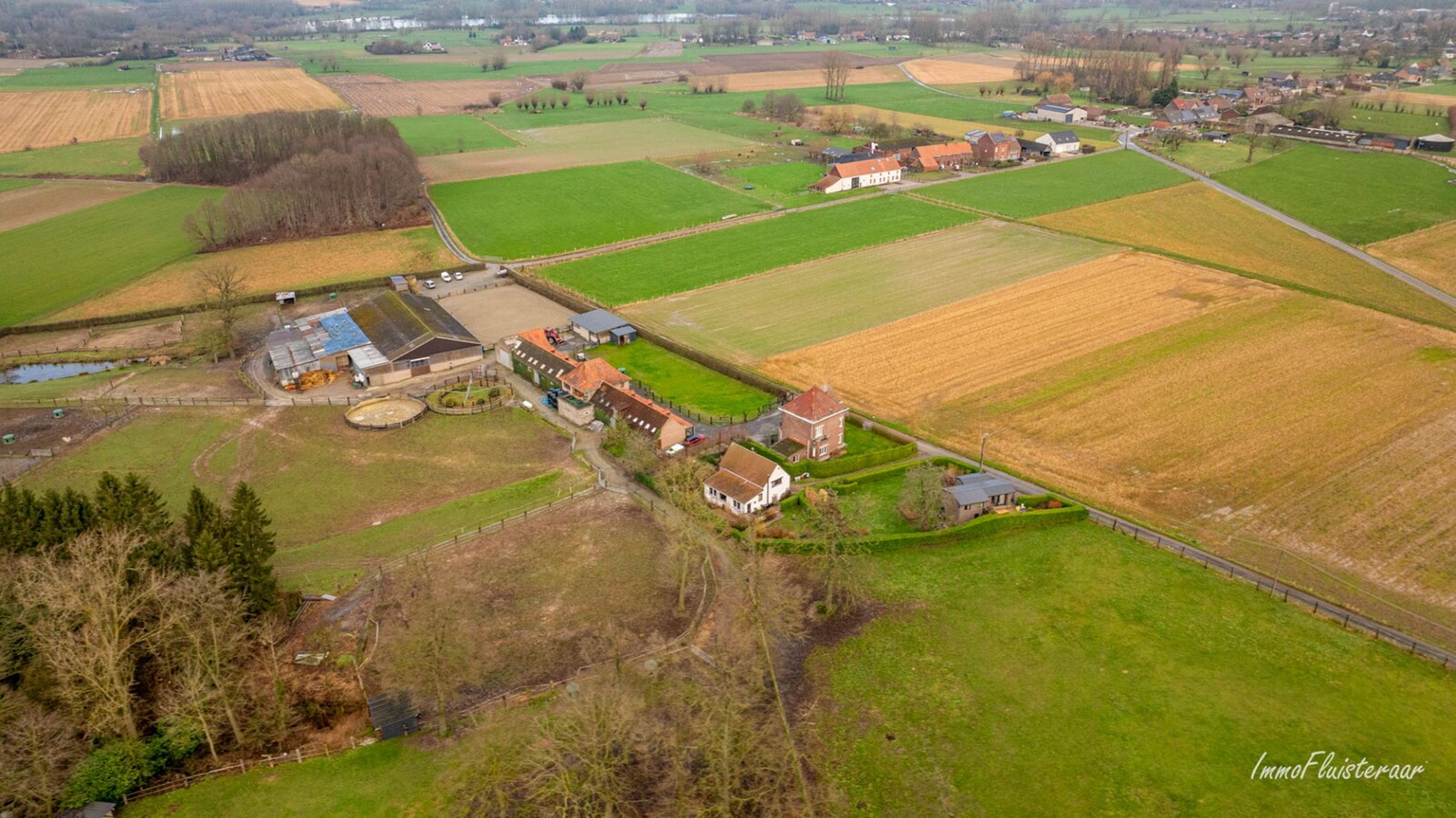 Magnifique complexe équestre avec maison d'entreprise, environ 33 écuries et une piste intérieure sur plus de 5,6 hectares à Bever (Brabant flamand). 