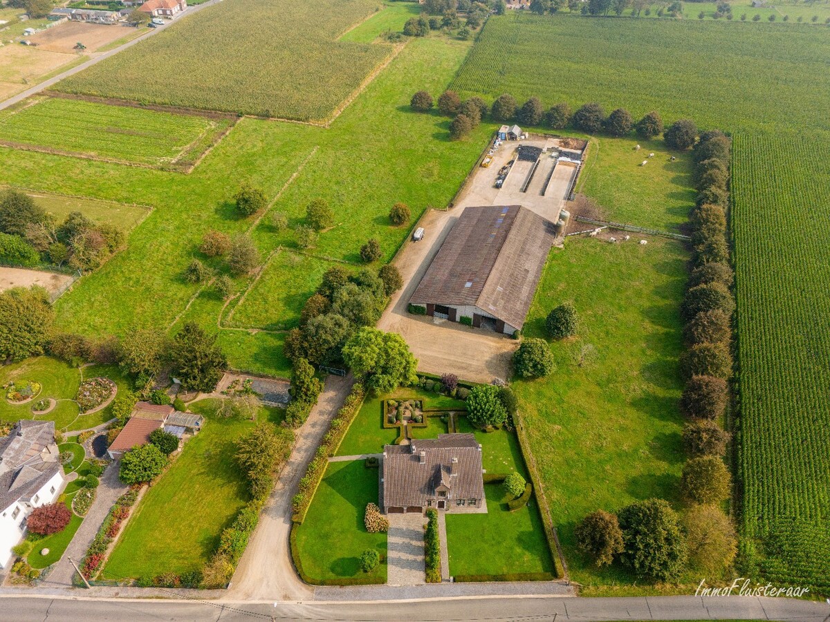 Prachtige villa met een ruim stalgebouw op ca. 2,2 ha te Dilsen-Stokkem 