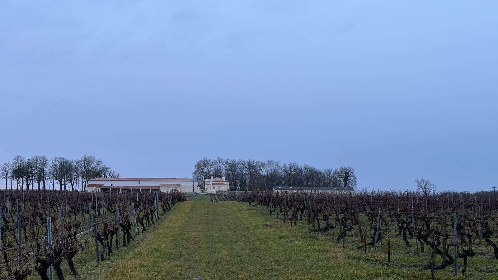 Chateau Les Chaumes - nabij Bordeaux (Frankrijk), Wijndomein met Restaurant en Hotel. 23 ha. 