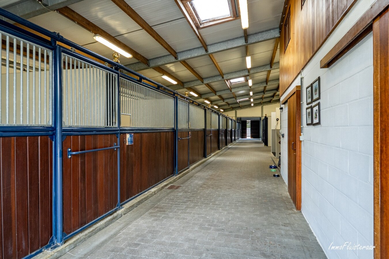 Beautiful villa with indoor and outdoor riding arenas on over 2.4 hectares in Ardooie 