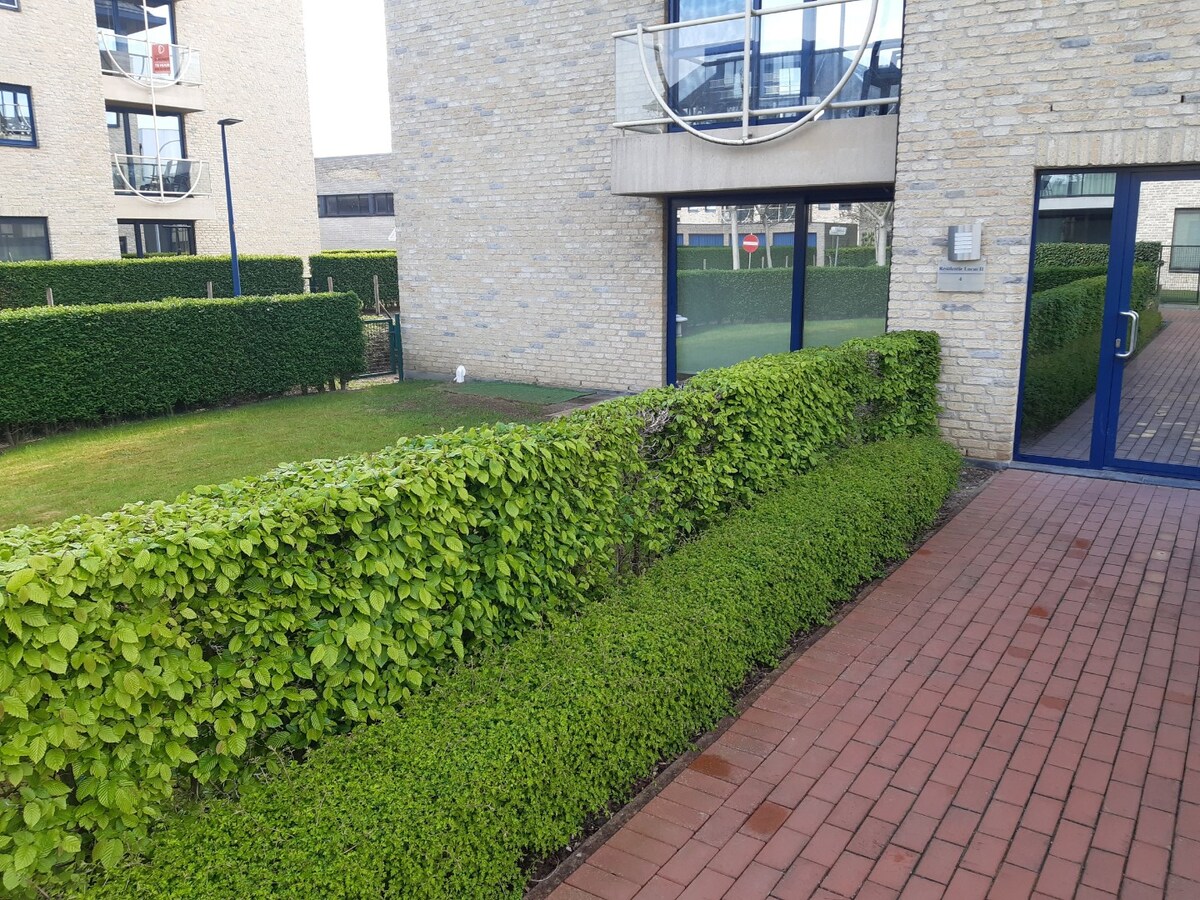 Aangename studio nabij Station (in t groen met terras). 